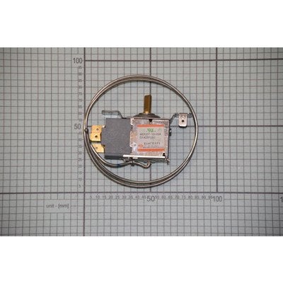 Termostat WDF23T-100-024 (1023027)
