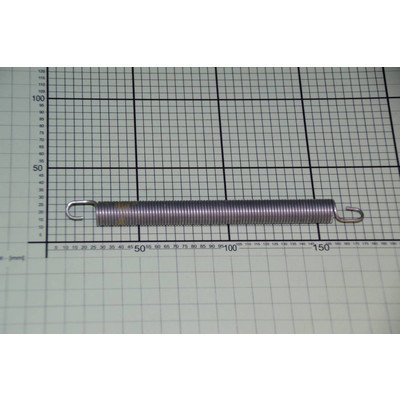 Sprężyna zawiasu (1009555)