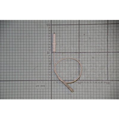 PG6411SRW PTCG4.1ZPZTCAW AMICA Iskrownik 250/33 (250) (1036118)