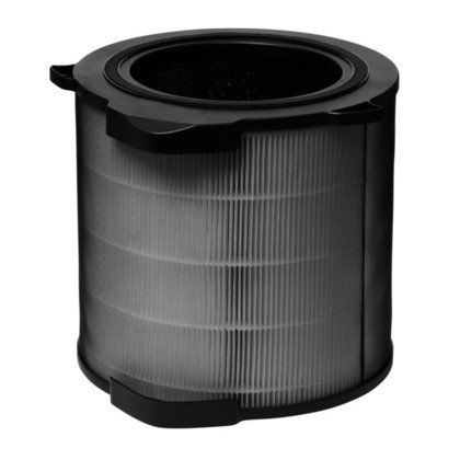 Filtr EPA zintegrowany z filtrem węglowym do oczyszczacza powietrza EFDFRH4 Electrolux (9009229890)