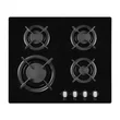 1106000 - PTCG4.0ZpZtC (PGCZ6210) Amica