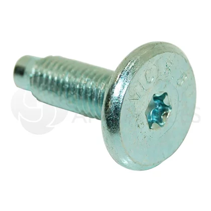 Śruba mocująca koło pasowe bębna do pralki Whirlpool / Indesit / Ariston / Hotpoint 481250218794 C00314234