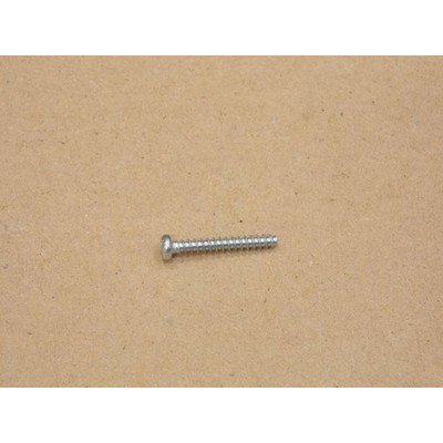 Śruba st 2,9x22 (1070034)