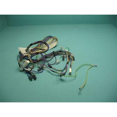 Wiązka przewodów (1009581)