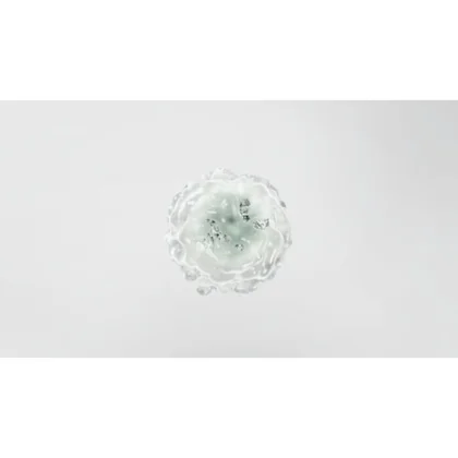 Filtry oczyszczaczy powietrza Filtr antybakteryjny i antywirusowy do oczyszczacza powietrza Electrolux / AEG Pure A9 400 CADR