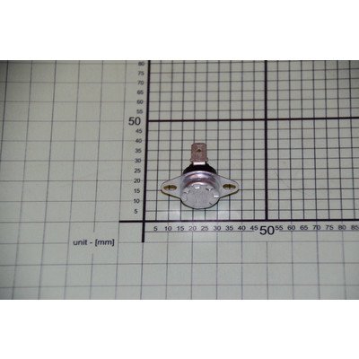 1039821 Termostat 120±5? AMICA