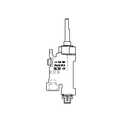 Zawór palnika gazowego do kuchenki Electrolux / AEG 3970512012