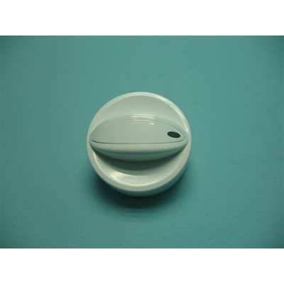 Zespół pokrętła (1001731)