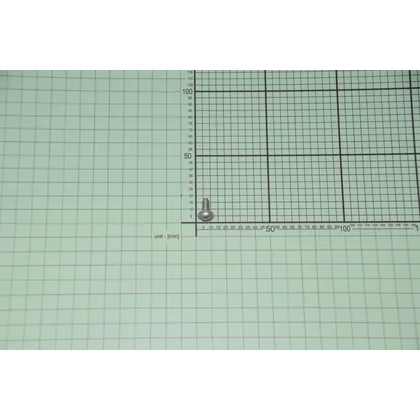 Wkręt do zmywarki Amica PT5x15 torx