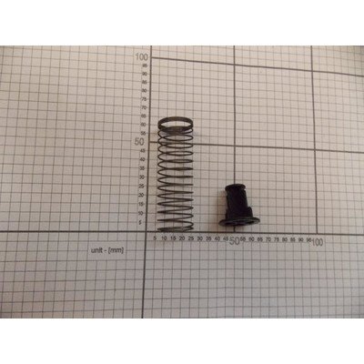 Zawór bezpieczeństwa (1022698)