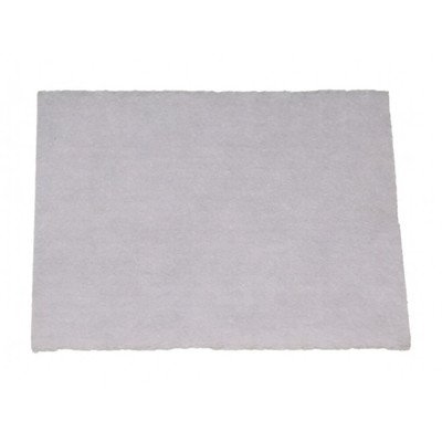 Filtr wlotowy do odkurzacza Amica 1022714