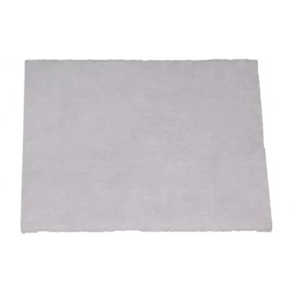 Filtr wlotowy do odkurzacza Amica 1022714
