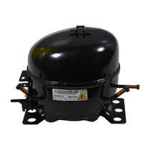 Kompresor do chłodziarko-zamrażarki Amica TB1110YL/2.5UF/ZHB42-115Z003C/