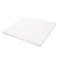 Filtry oczyszczaczy powietrza Filtr powietrza HEPA do oczyszczacza powietrza Electrolux / AEG 322 x 416 x 25 mm
