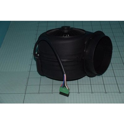 Zespół silnika (1004937)