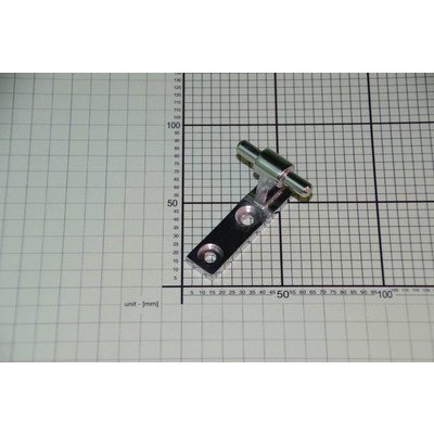 Zawias środkowy (1032135)