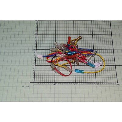 Wiązka przewodów elektrycznych (1017304)