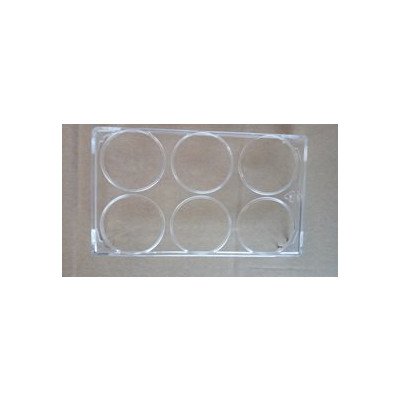 Pojemnik do jaj 6 przeźroczysty (1037253)