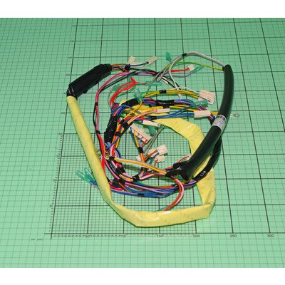 1046403 Główna wiązka przewodów AMICA