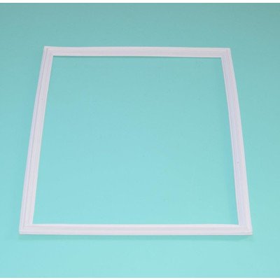 Uszczelka wewnętrzna drzwi chłodziarki do lodówki Amica 1021891