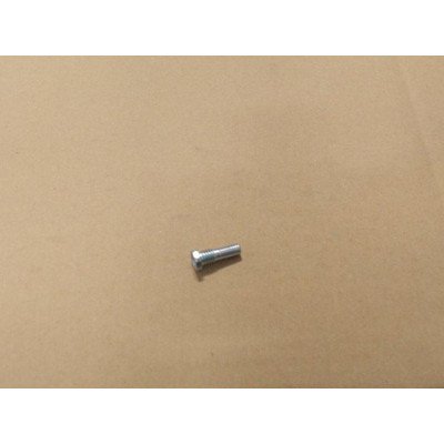 Rdzeń zawiasu górny chłodziarko-zamrażarki Amica (1019756)