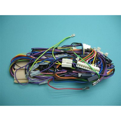 Wiązka przewodów (1008036)