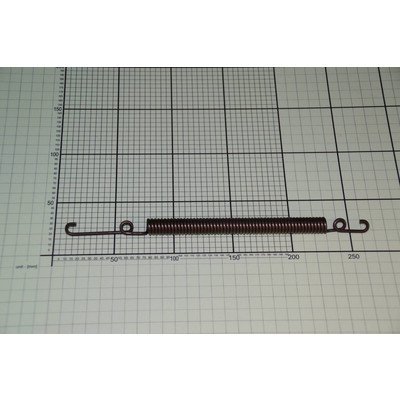 Sprężyna zawiasów (1001841)