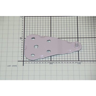 Zawias górny drzwi chłodziarko-zamrażarki Amica (1038201)