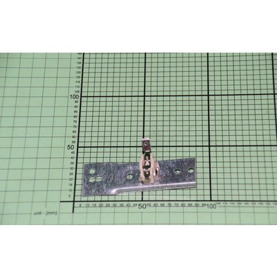 Podzespół ogranicznika temperatury (8010902)