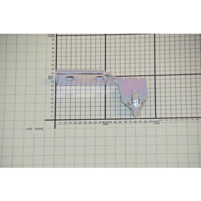 Zawias środkowy (1036321)