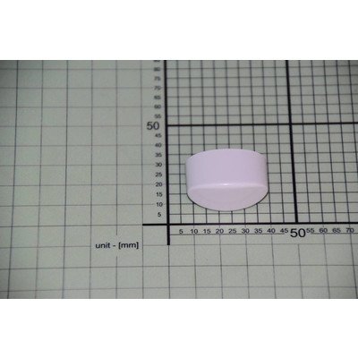 Klawisz mikrowyłącznika (1001968)