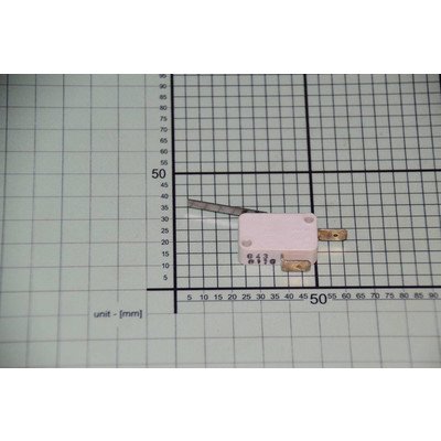 Mikrowyłącznik (1003604)