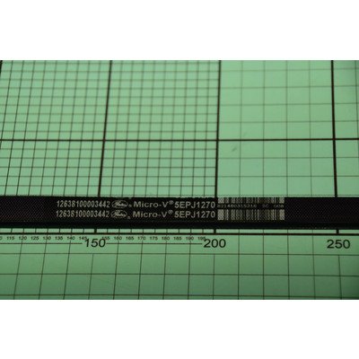 1049093 Pasek wielokl. 5PJE1270 AMICA