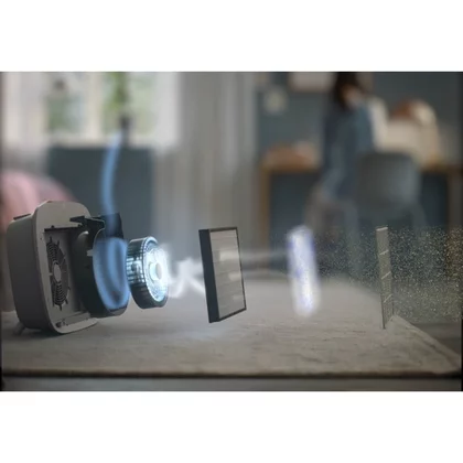 Filtry oczyszczaczy powietrza Filtr CARE do oczyszczacza powietrza Electrolux / AEG AX5/7 EFWCAR3