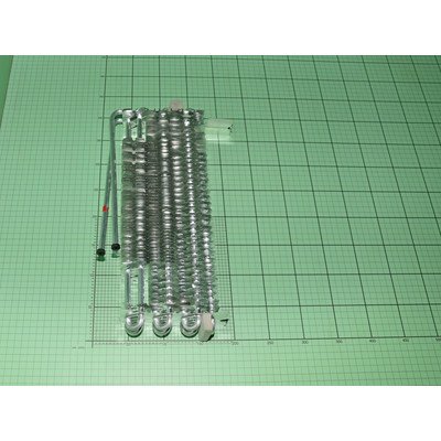 1049558 Parownik AMICA