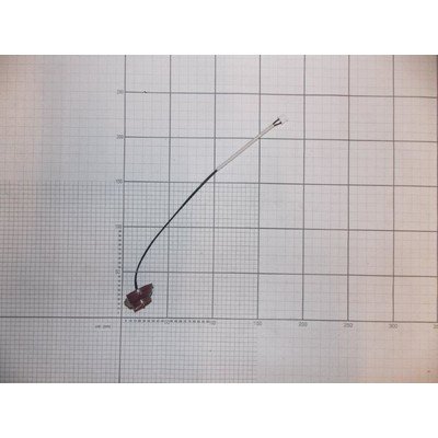 Czujnik temperatury (1030952)