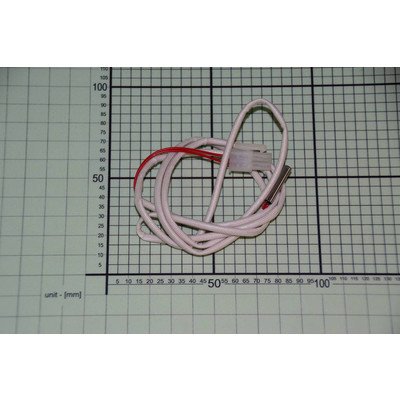 Czujnik temperatury (1024267)