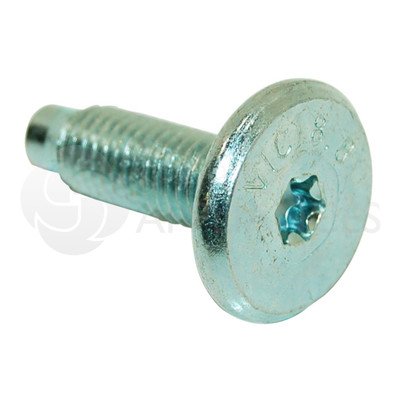 Śruba mocująca koło pasowe bębna pralki (481250218794) C00314234