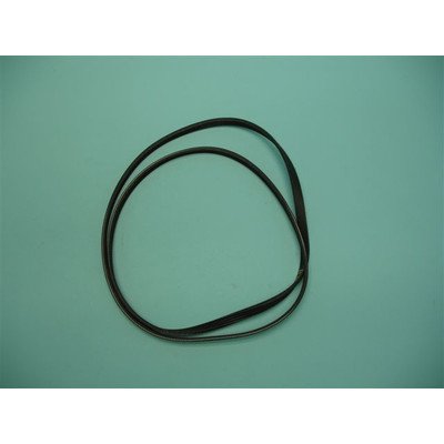 Pasek wieloklinowy (1005141)