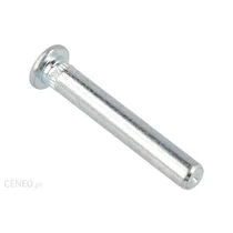 Bolec zawiasu drzwi lodówki Whirlpool / Indesit / Ariston / Hotpoint 481241778065 C00315522