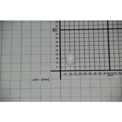Pokrywka sworznia zawiasu drzwi (1017492)