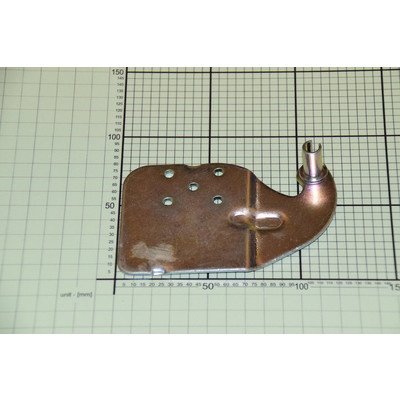 Zawias górny lewy drzwi chłodziarko-zamrażarki Amica (1038038)