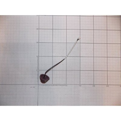 Czujnik temperatury (1030940)