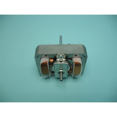 Silnik dmuchawy (1007282)