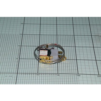 Termostat (1019731)