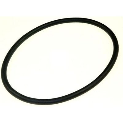 DSN 6532 F (95827) Uszczelka zbiornika pompy 21 cm Beko 1740050300