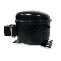 Sprężarki, akcesoria, przekaźnik Sprężarka do klimatyzatora Electrolux / AEG z elementami mocującymi 4055197588