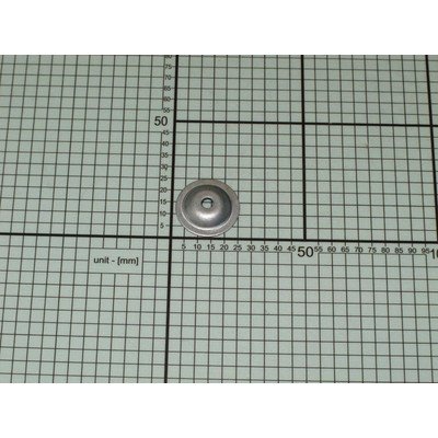 Zabezpieczenie rolki prowadzącej (1033849)