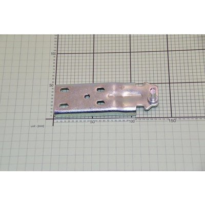 Zawias dolny (1036352)