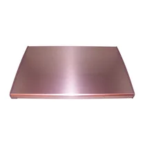 Drzwi chłodziarki do chłodziarko-zamrażarki Amica inox 1035839